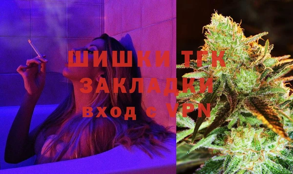 индика Белокуриха