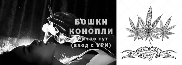 a pvp Богданович