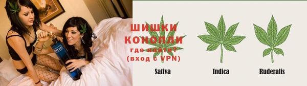 mdpv Богородицк