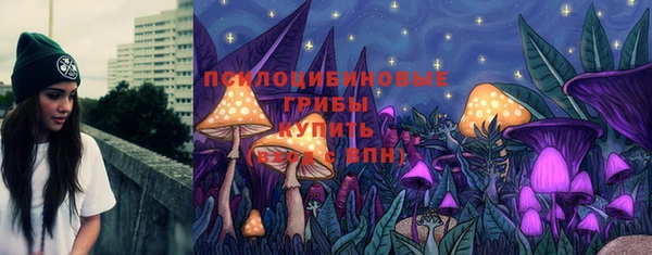 МДПВ Богородск