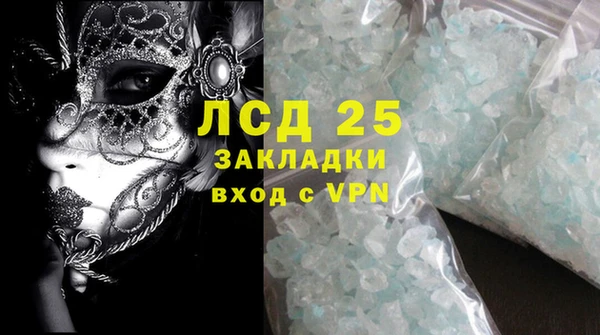 индика Белокуриха