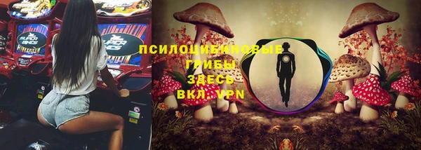 индика Белокуриха