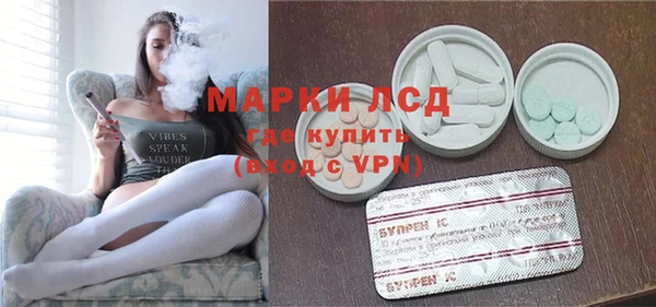 индика Белокуриха