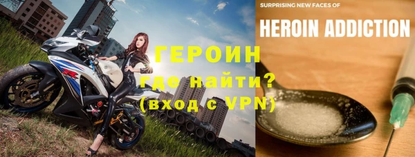 индика Белокуриха