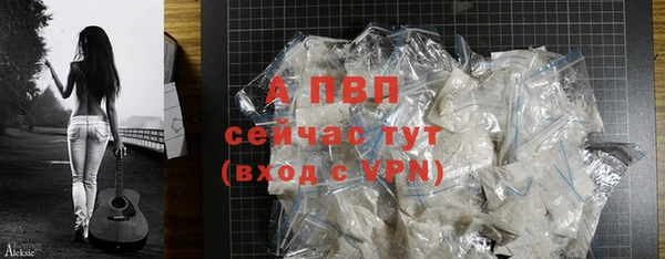 индика Белокуриха
