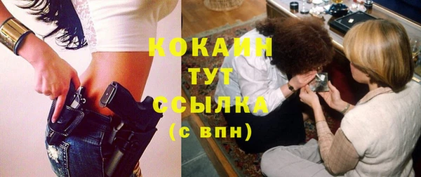 индика Белокуриха