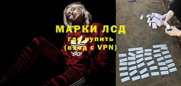 индика Белокуриха