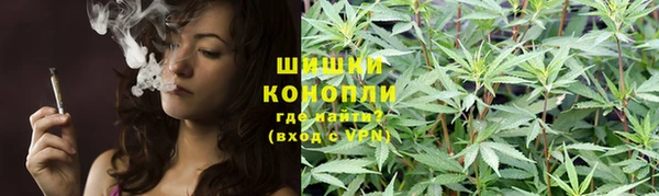 mdpv Богородицк